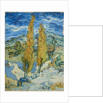 The Poplars at Saint-Rémy, 1889 by Vincent van Gogh