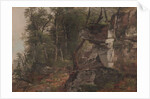 Trees on a Rocky Hillside, c.1849 by Asher Brown Durand