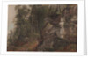 Trees on a Rocky Hillside, c.1849 by Asher Brown Durand