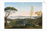 View of the Gulf of Pozzuoli from Solfatara, 1803 by Jacob-Philippe Hackert