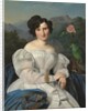 Countess Széchenyi, 1828 by Ferdinand Georg Waldmuller