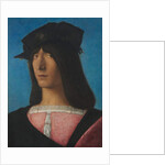 Portrait of a Man, c. 1510s by Veneto Bartolomeo