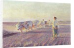Ploughing in the Ukraine, 1892 by Leon Wyczolkowski