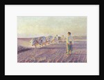 Ploughing in the Ukraine, 1892 by Leon Wyczolkowski