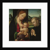 Madonna feeding the Christ Child, c.1500-30 by Ambrogio Borgognone