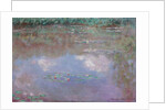 The Water Lily Pond, 1903 by Claude Monet