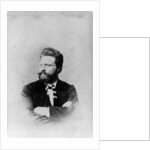 Portrait of Norwegian writer Bjoernstjerne Bjoernson, c.1865 by German Photographer