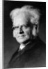 Portrait of Norwegian writer Bjoernstjerne Bjoernson by German Photographer