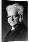 Portrait of Norwegian writer Bjoernstjerne Bjoernson by German Photographer
