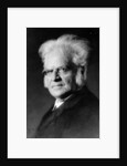 Portrait of Norwegian writer Bjoernstjerne Bjoernson by German Photographer