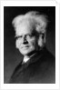Portrait of Norwegian writer Bjoernstjerne Bjoernson by German Photographer