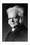 Portrait of Norwegian writer Bjoernstjerne Bjoernson by German Photographer