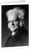 Portrait of Norwegian writer Bjoernstjerne Bjoernson by German Photographer