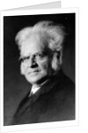 Portrait of Norwegian writer Bjoernstjerne Bjoernson by German Photographer