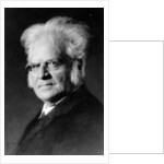 Portrait of Norwegian writer Bjoernstjerne Bjoernson by German Photographer