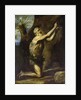 St. Onuphrius by Jusepe de Ribera
