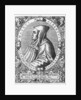 Albertus Magnus by Theodor de Bry