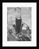 Fath-Ali Shah Qajar by Louis Charles Ruotte