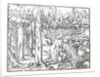 Page from 'Discours du Songe de Poliphile', by Francesco Colonna, 1546 by French School