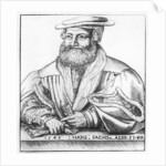 Portrait of Hans Sachs, 1545 by Hans Brosamer