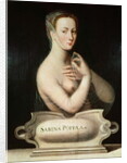 Sabina Poppaea, c.1570 by Fontainebleau School