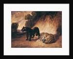 Two Jaguars from Peru by Antoine Louis Barye