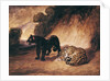 Two Jaguars from Peru by Antoine Louis Barye