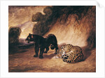 Two Jaguars from Peru by Antoine Louis Barye