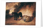 Two Jaguars from Peru by Antoine Louis Barye