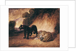 Two Jaguars from Peru by Antoine Louis Barye