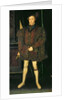 Edward VI by Guillaume Scrots