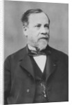 Portrait of Louis Pasteur by Pierre Petit