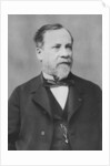 Portrait of Louis Pasteur by Pierre Petit