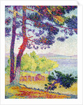 Afternoon at Pardigon, Var, 1907 by Henri-Edmond Cross