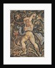 Lycurgus Cutting the Grape Vine by Roman Roman