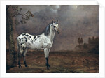 The Piebald Horse, 1653 by Paulus Potter
