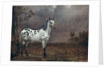 The Piebald Horse, 1653 by Paulus Potter