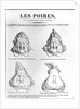 Les Poires by Charles Philipon
