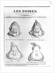 Les Poires by Charles Philipon