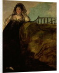 Leocadia Zorilla, the Artist's Housekeeper, c.1821 by Francisco Jose de Goya y Lucientes