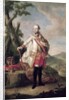 Full length portrait of Joseph II of Habsbourg-Lorraine, Holy Roman Emperor, c.1765 by Anton von Maron