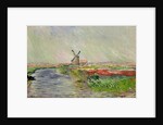 Tulip Field in Holland by Claude Monet