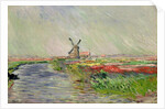 Tulip Field in Holland by Claude Monet