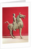 Man on horseback, from Wu-wei, Kansu, Eastern Han Dynasty by Chinese School