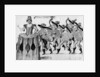 Les Fees des Forets de Saint Germain Danced at the Louvre by French School