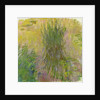Waterlilies by Claude Monet