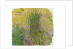 Waterlilies by Claude Monet