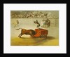 Martincho's Other Folly in the Bull Ring at Saragossa, after a painting by Francisco Goya by Eugenio Lucas y Padilla