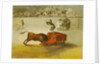 Martincho's Other Folly in the Bull Ring at Saragossa, after a painting by Francisco Goya by Eugenio Lucas y Padilla