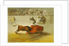 Martincho's Other Folly in the Bull Ring at Saragossa, after a painting by Francisco Goya by Eugenio Lucas y Padilla